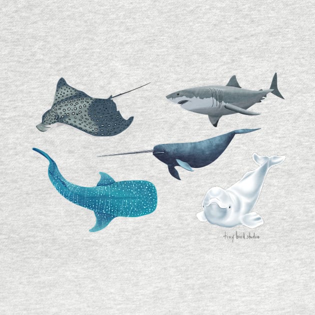 Marine animals by Tiny Bird Studio